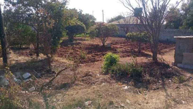 plots-for-sale-in-chalala-big-2