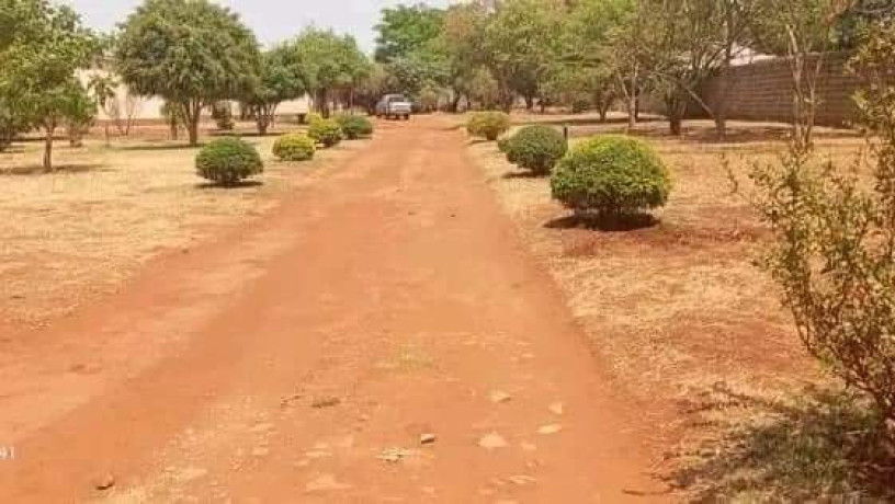 plots-for-sale-in-chalala-big-0