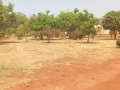 plot-for-sale-in-chalala-small-1