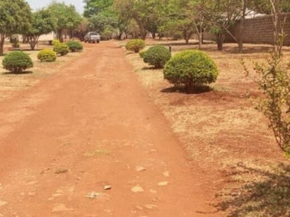 plot-for-sale-in-chalala