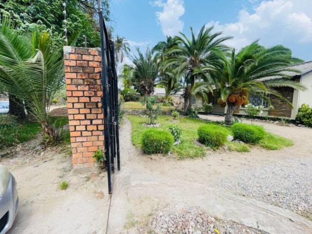 3-bedroom-house-for-rent-in-olympia-big-9