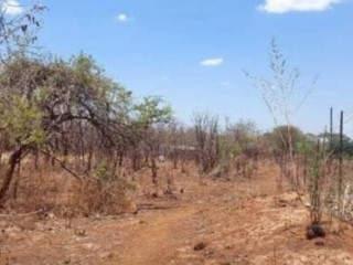 20 Hectare Land For Sale In Makeni