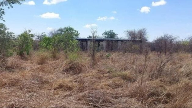 20-hectare-land-for-sale-in-makeni-big-2