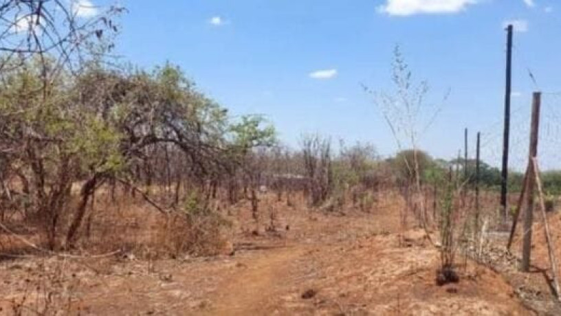 20-hectare-land-for-sale-in-makeni-big-0