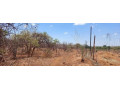 20-hectare-land-for-sale-in-makeni-small-0