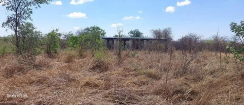 20-hectare-land-for-sale-in-makeni-big-2