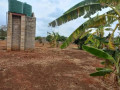 5-bedroom-house-for-sale-in-makeni-small-3