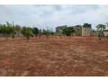 5-bedroom-house-for-sale-in-makeni-small-2