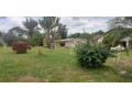 5-bedroom-house-for-sale-in-makeni-small-5