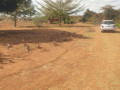 10-acre-land-for-sale-in-makeni-small-4