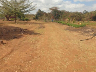 10 Acre Land For Sale In Makeni