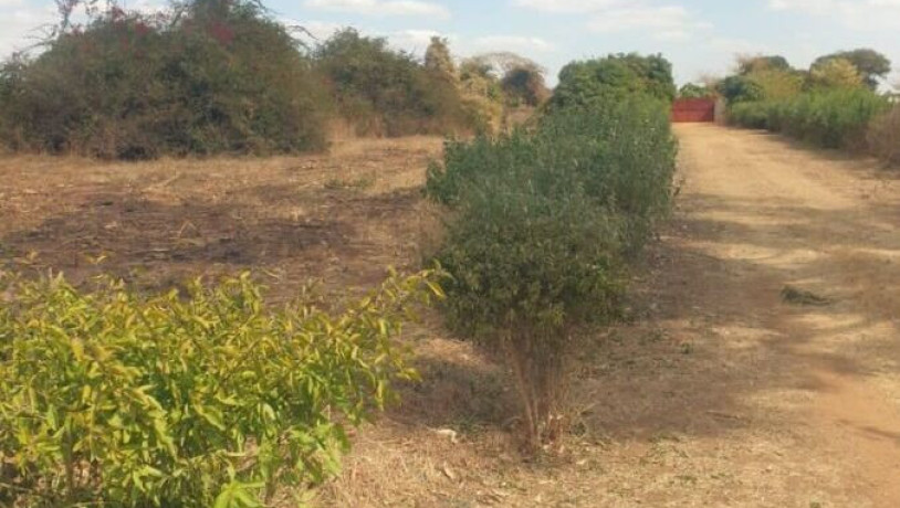 10-acre-land-for-sale-in-makeni-big-1