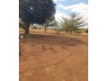 10-acre-land-for-sale-in-makeni-small-3