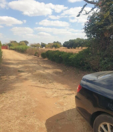 10-acre-land-for-sale-in-makeni-big-2