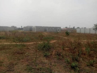 Plot For Sale In Makeni