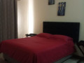 2-bedroom-furnished-apartment-for-rent-in-chudleigh-small-6