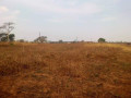 43m-x-87m-plot-for-sale-in-makeni-majoru-small-4