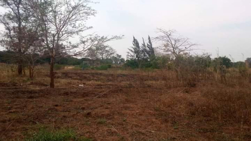 43m-x-87m-plot-for-sale-in-makeni-majoru-big-7