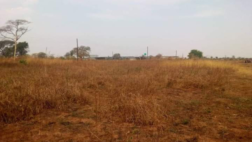 43m-x-87m-plot-for-sale-in-makeni-majoru-big-4