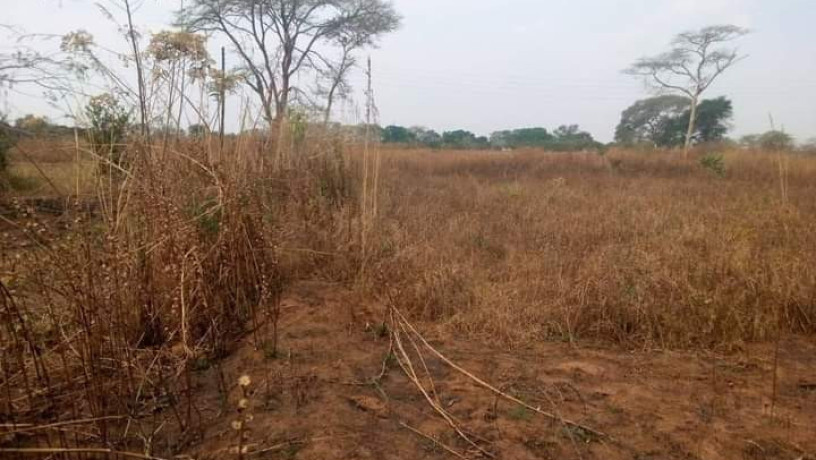 43m-x-87m-plot-for-sale-in-makeni-majoru-big-3