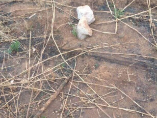 43m-x-87m-plot-for-sale-in-makeni-majoru