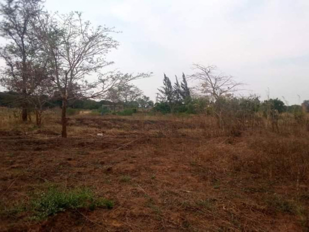 43m-x-87m-plot-for-sale-in-makeni-majoru-big-7