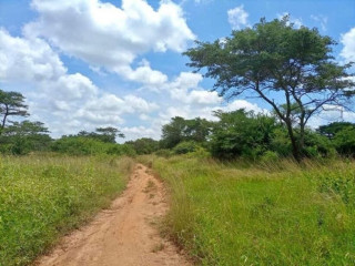 Land For Sale in New Kasama