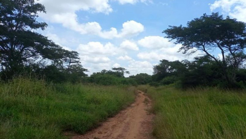 land-for-sale-in-new-kasama-big-2