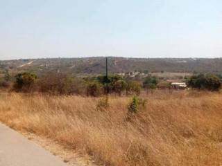 4 Acre Land For Sale in New Kasama