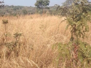 9.8 Acre Land For Sale in Mikango Barracks