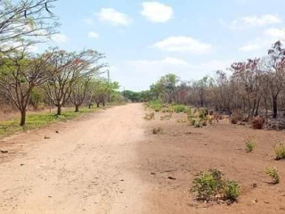 Land For Sale in New Kasama