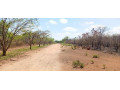 land-for-sale-in-new-kasama-small-0