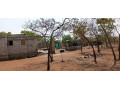 land-for-sale-in-new-kasama-small-4