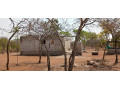 land-for-sale-in-new-kasama-small-6