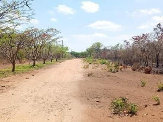 land-for-sale-in-new-kasama