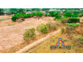1-acre-plots-for-sale-in-new-kasama-small-0