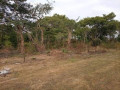 2-acre-land-for-sale-in-new-kasama-small-0