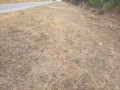 2-acre-land-for-sale-in-new-kasama-small-2