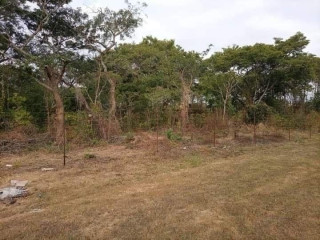 2 Acre Land For Sale In New Kasama