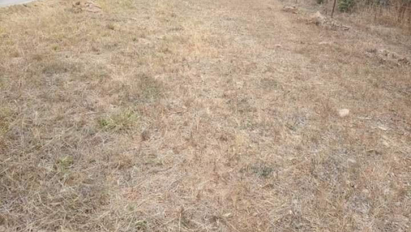 2-acre-land-for-sale-in-new-kasama-big-2