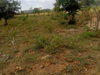 Plot For Sale in Kasenki