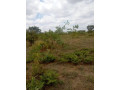 plot-for-sale-in-kasenki-small-1
