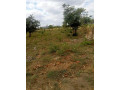 plot-for-sale-in-kasenki-small-0