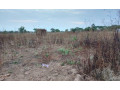 plot-for-sale-in-mikango-barracks-small-2