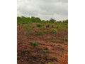 plot-for-sale-in-mikango-barracks-small-0
