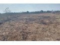plot-for-sale-in-mikango-barracks-small-1