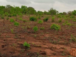 plot-for-sale-in-mikango-barracks