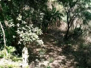 10 Acre For Sale in Mikango Barracks