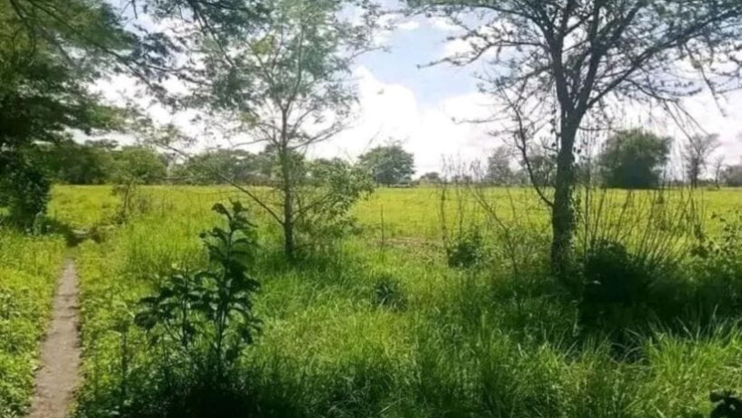 10-acre-for-sale-in-mikango-barracks-big-1