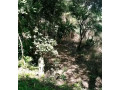 10-acre-for-sale-in-mikango-barracks-small-0